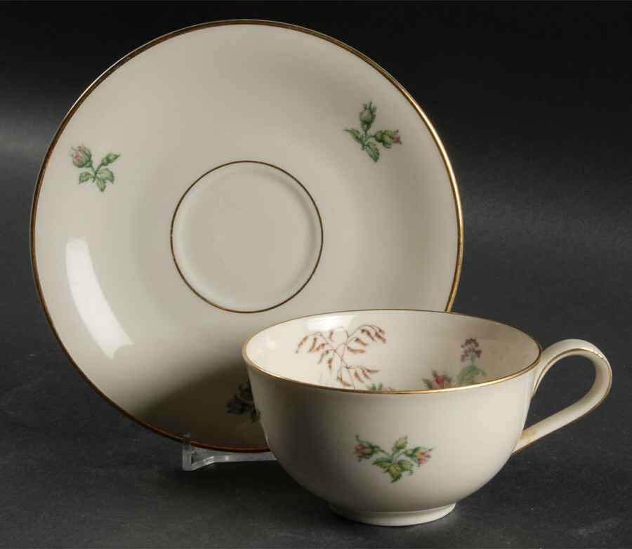 Moss Rose (Cream Background, Coupe) Flat Cup & Saucer Set by Heinrich - H&C-1
