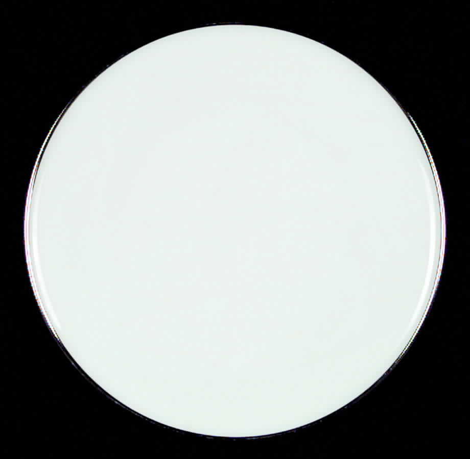 Platinum Band Salad Plate by Heinrich - H&C-1