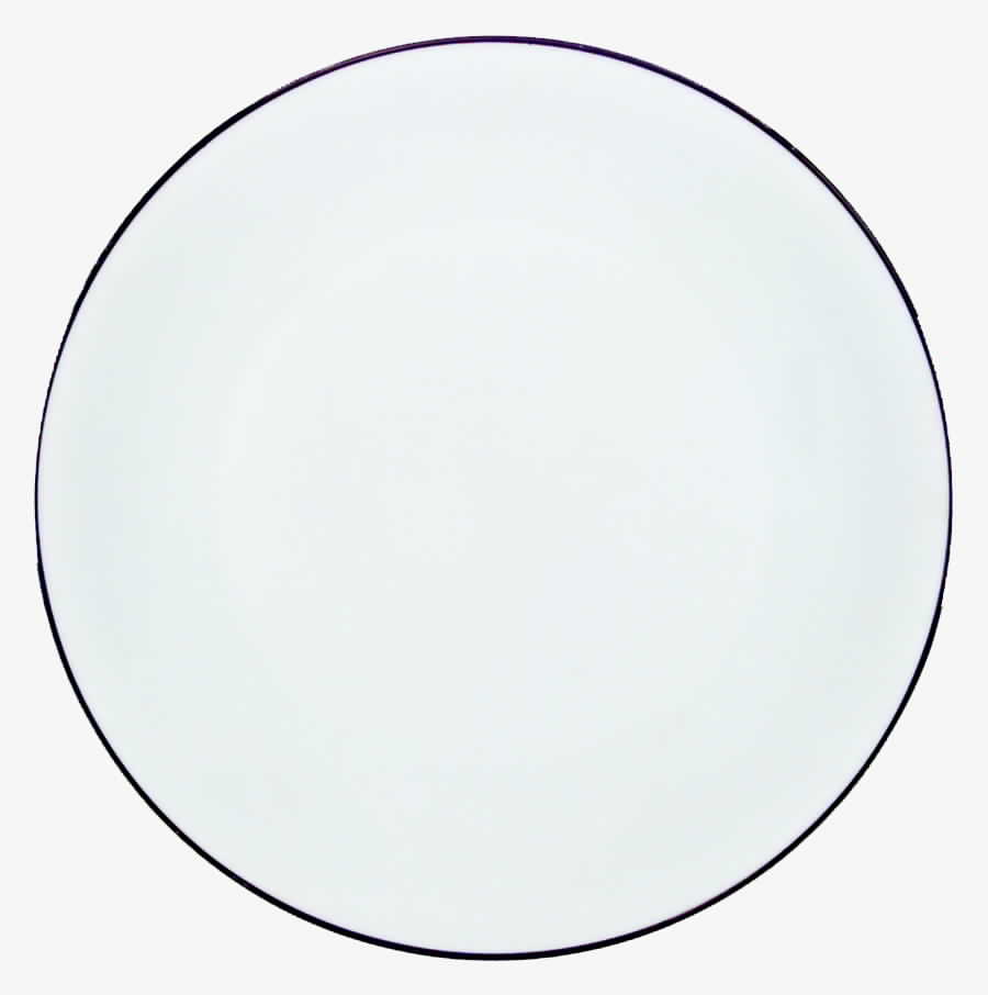 Platinum Band Dinner Plate by Heinrich - H&C-1