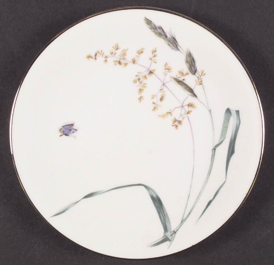 Sommer (Coupe, Smooth, Gold Trim) Dinner Plate by Heinrich - H&C-1
