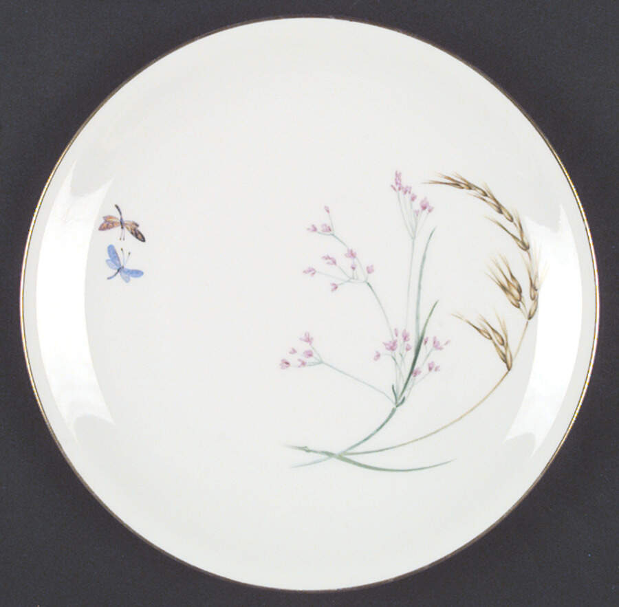 Sommer (Coupe, Smooth, Gold Trim) Dinner Plate by Heinrich - H&C-1