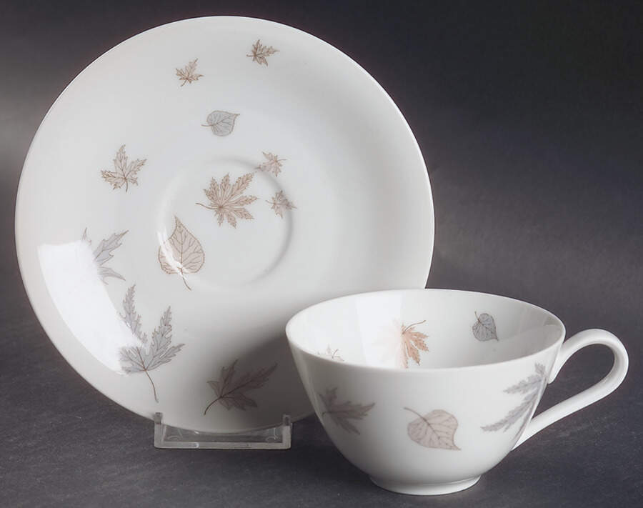 Spessart Flat Cup & Saucer Set by Heinrich - H&C-1