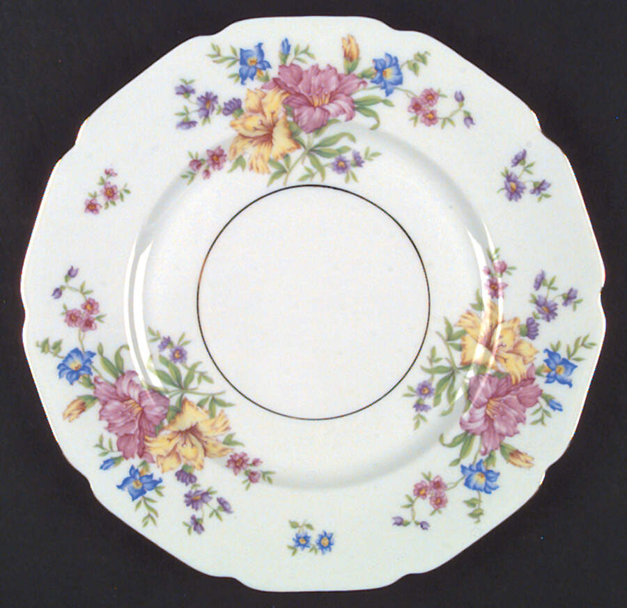 Strasbourg Dinner Plate by Heinrich - H&C-1