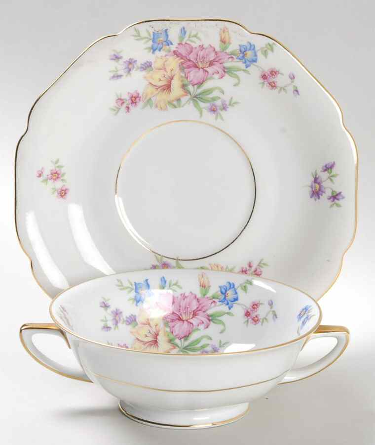 Strasbourg Footed Cream Soup Bowl & Saucer Set by Heinrich - H&C-1
