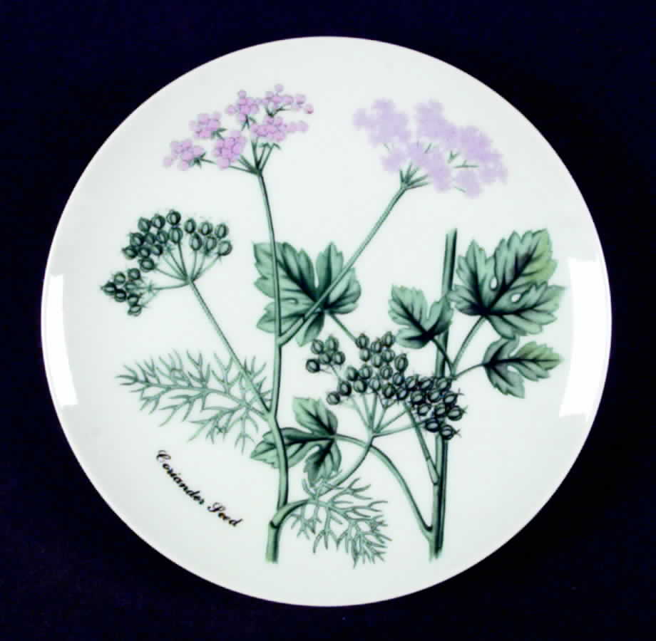 Botanical Herb Seed Salad Plate by Horchow-1