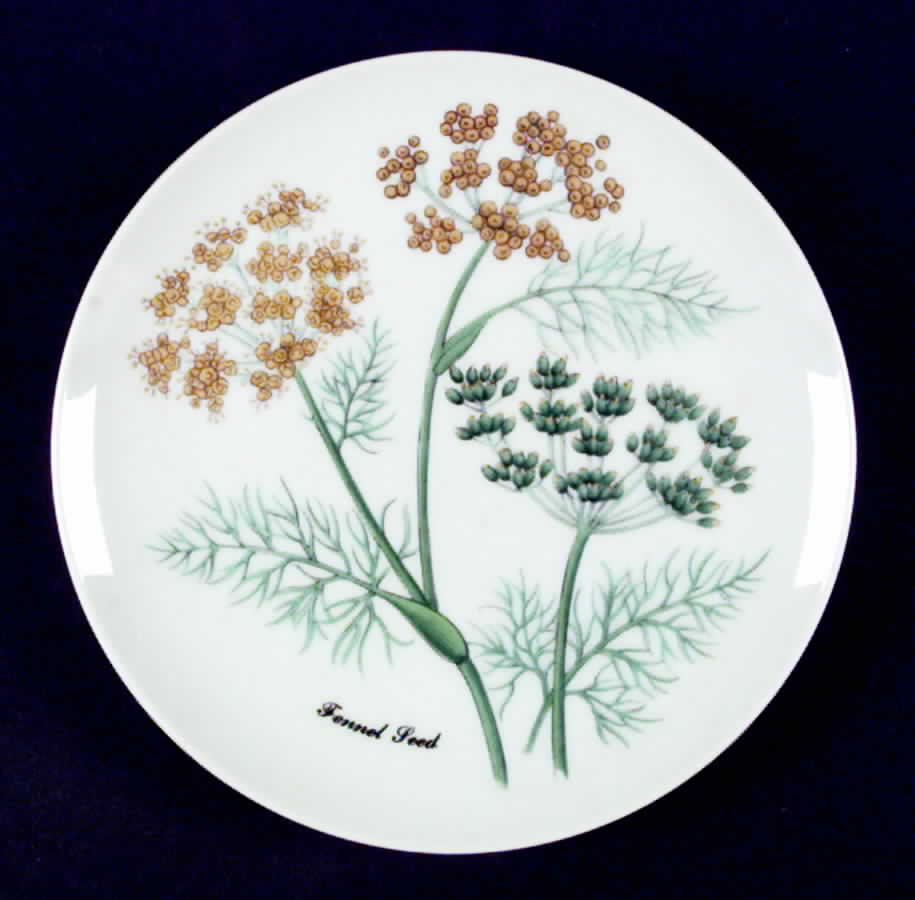 Botanical Herb Seed Salad Plate by Horchow-1