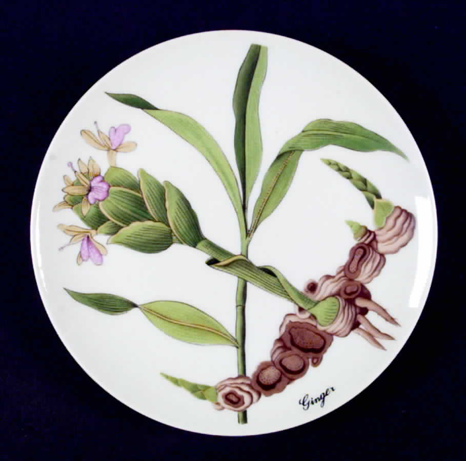 Botanical Herb Seed Salad Plate by Horchow-1