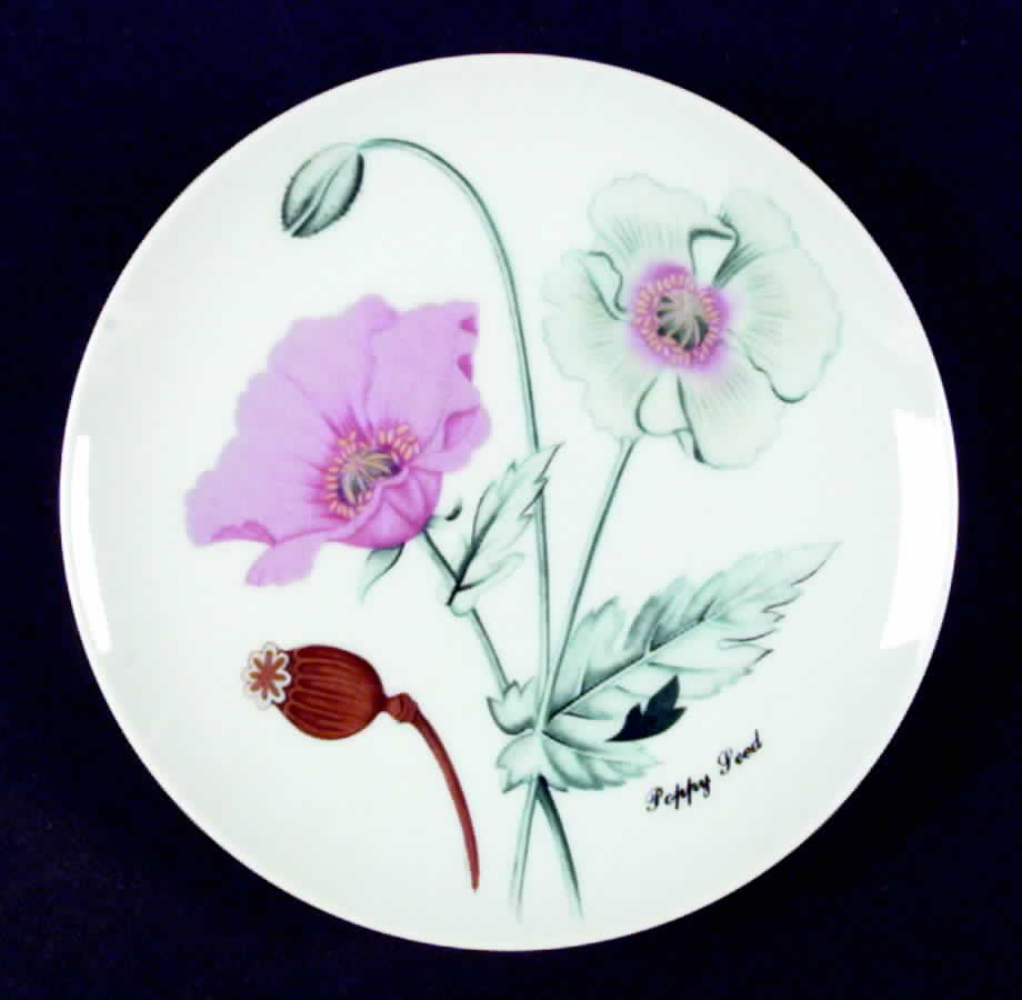 Botanical Herb Seed Salad Plate by Horchow-1