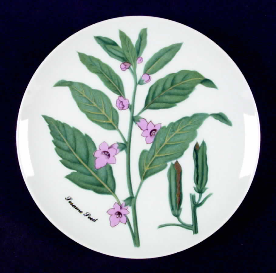 Botanical Herb Seed Salad Plate by Horchow-1