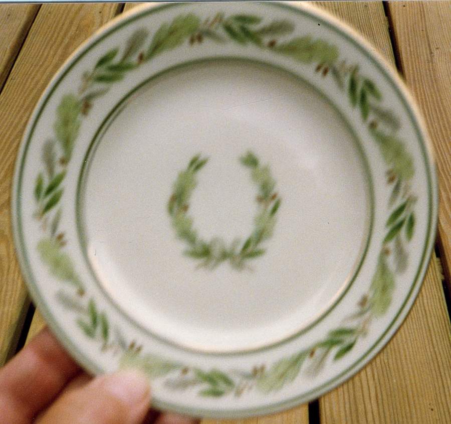 Aiglon Bread & Butter Plate by Haas-Czjzek Coronado-1