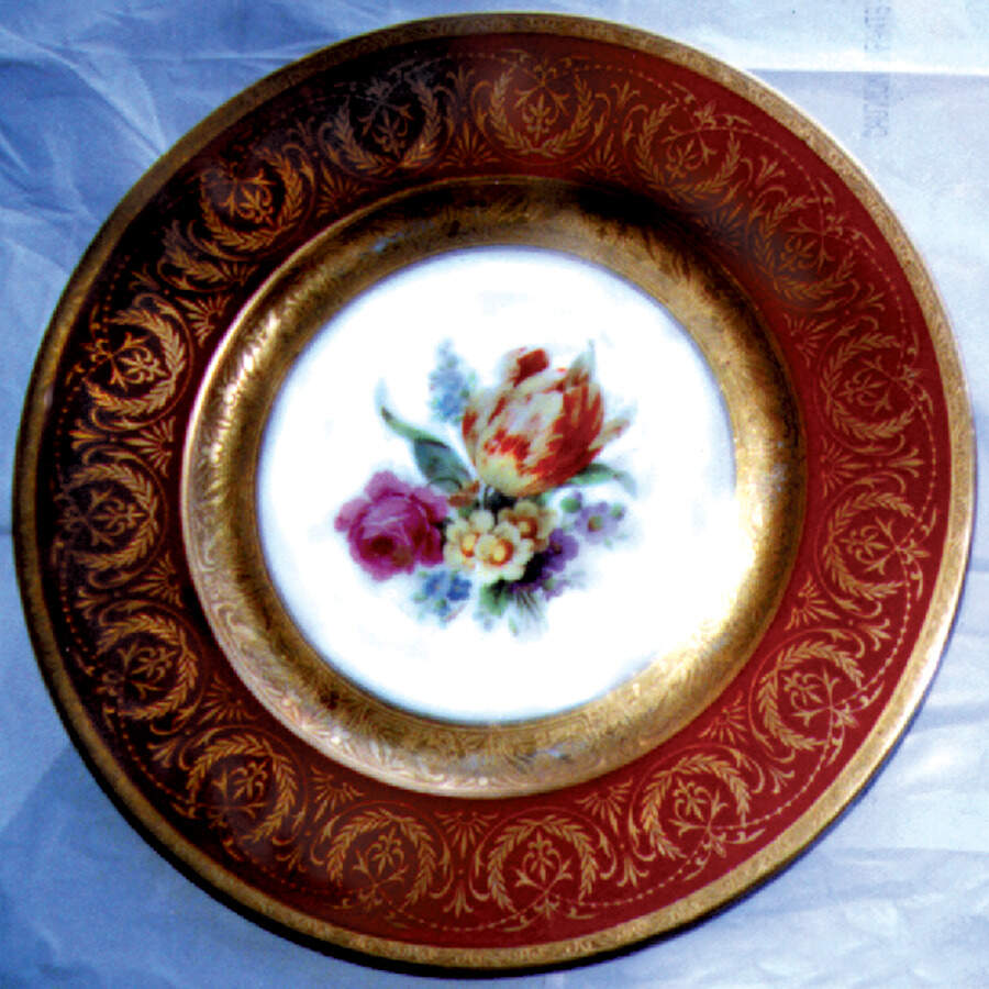 HCZ15 Dinner Plate by Haas-Czjzek Coronado-1