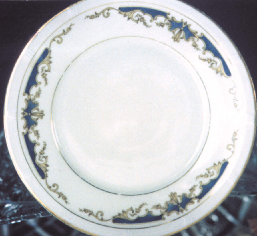 HCZ3 Dinner Plate by Haas-Czjzek Coronado-1