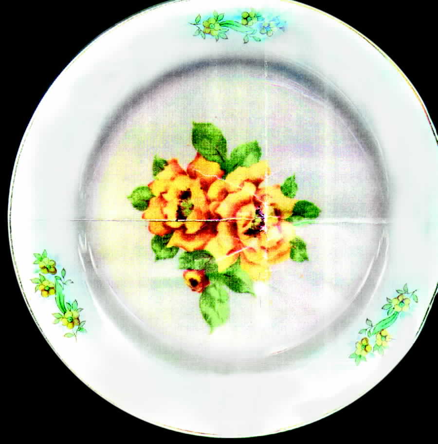 HSN2 Salad Plate by Hadson (Japan)-1