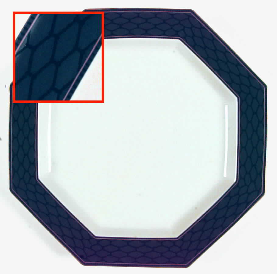 Black Tortoise Dinner Plate by Daniel Hechter-1
