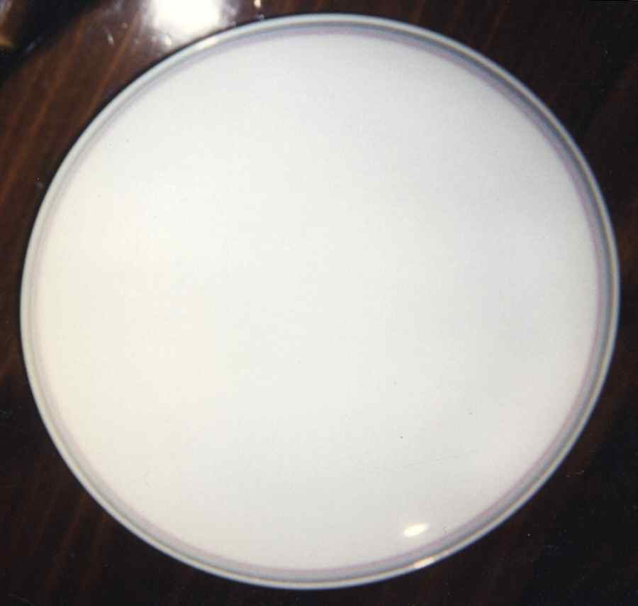 Glace Pink Dinner Plate by Daniel Hechter-1