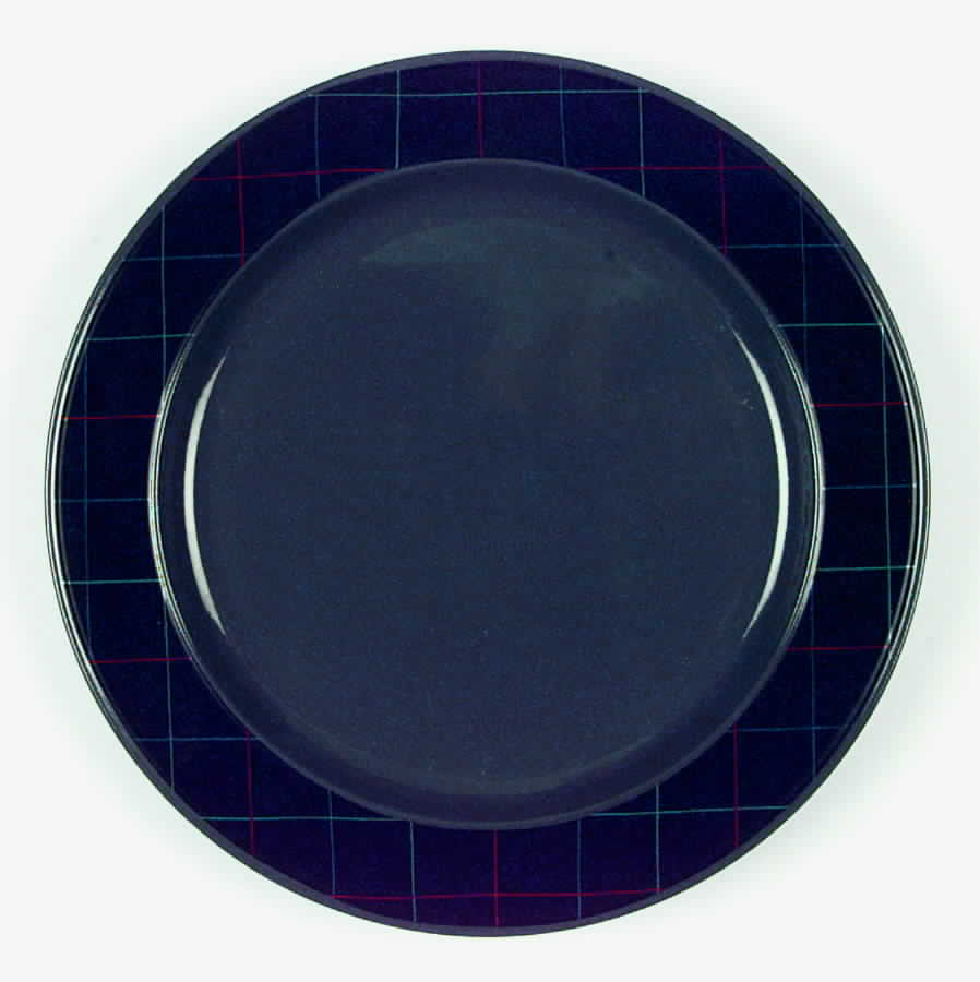 Graphics Gray Dinner Plate by Daniel Hechter-1