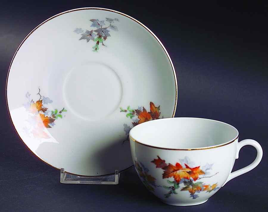 5974 Flat Cup & Saucer Set by Hertel Jacob-1