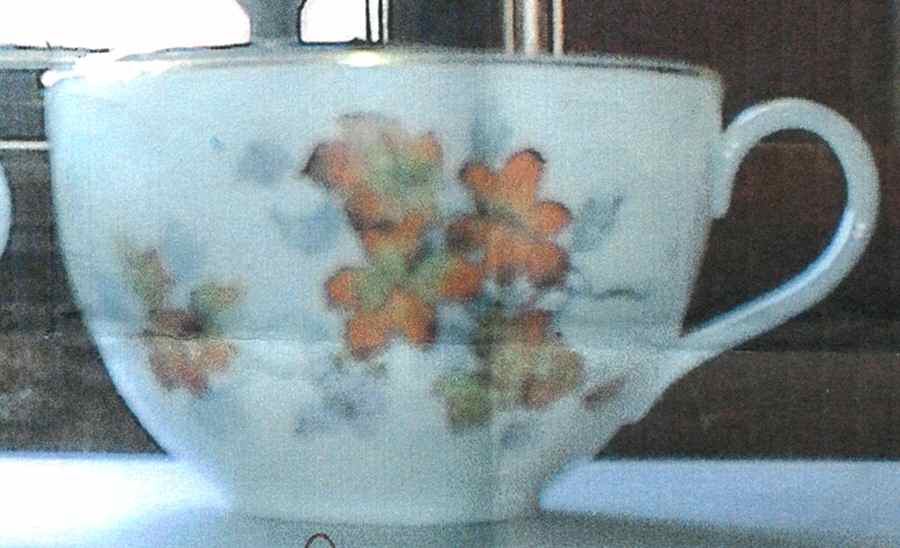 5974 Flat Cup by Hertel Jacob-1