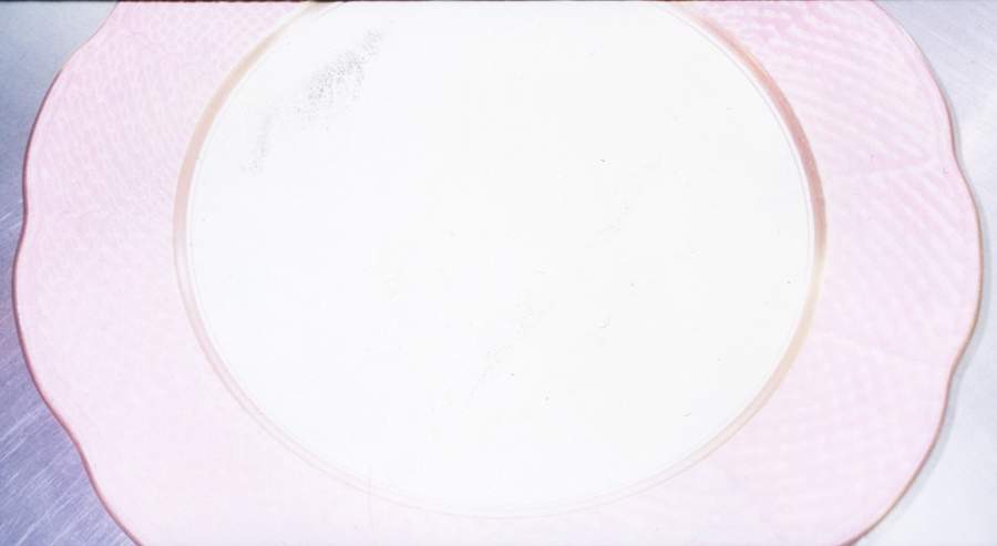 Hubay Pink Service Plate (Charger) by Herend-1