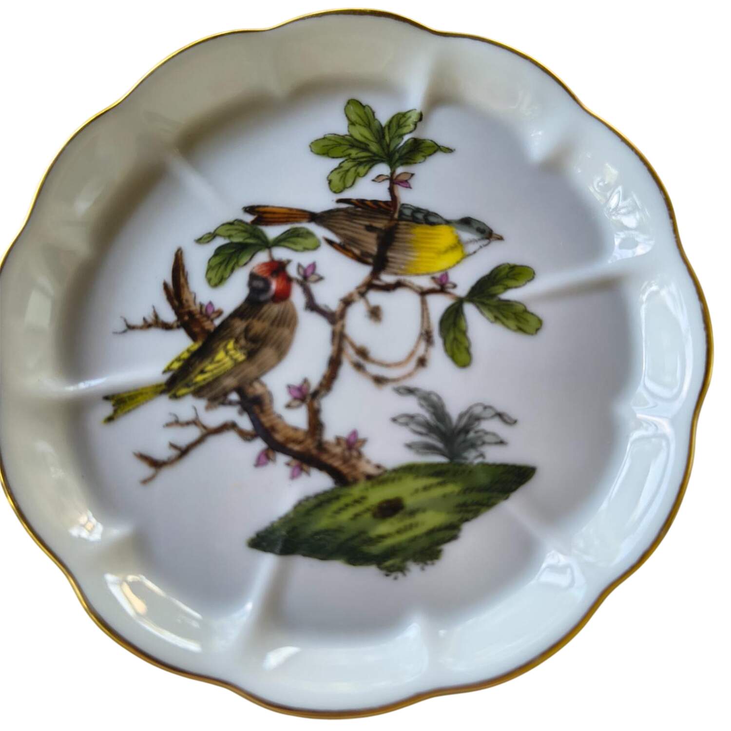 Rothschild Bird (RO) Coaster by Herend-1