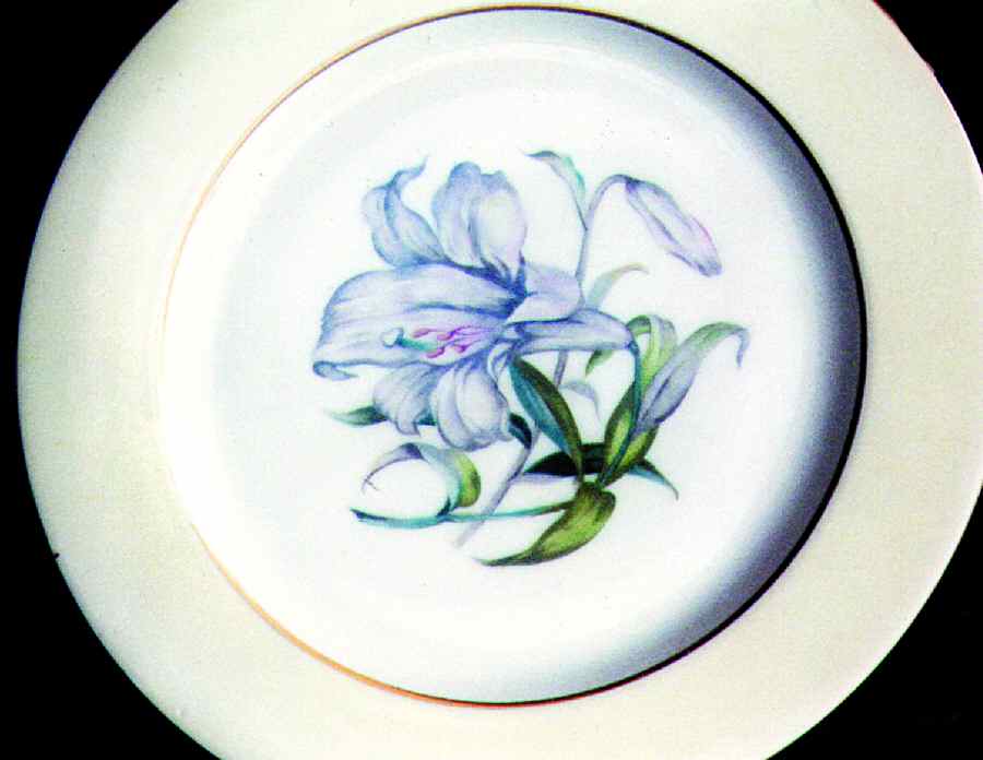 HEW1 Dinner Plate by Heiwa (Japan)-1