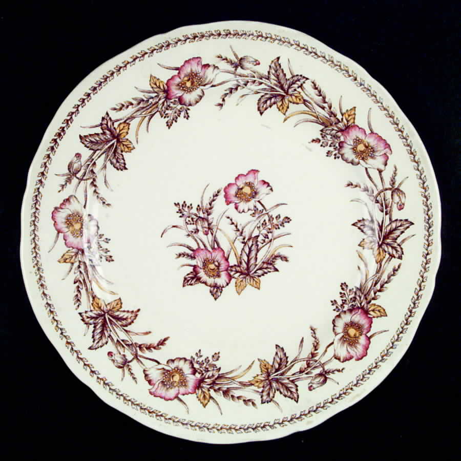 Sylvan Dinner Plate by Hira China-1