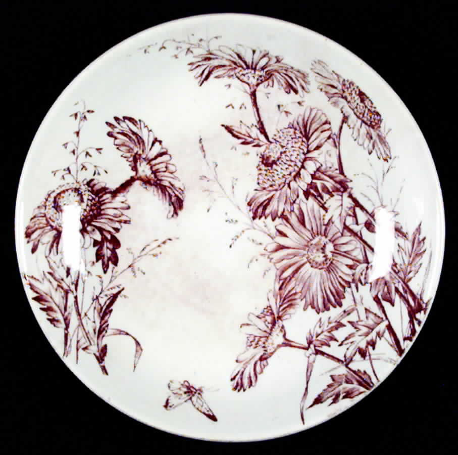 Alton Saucer by Hollinshead & Kirkham-1