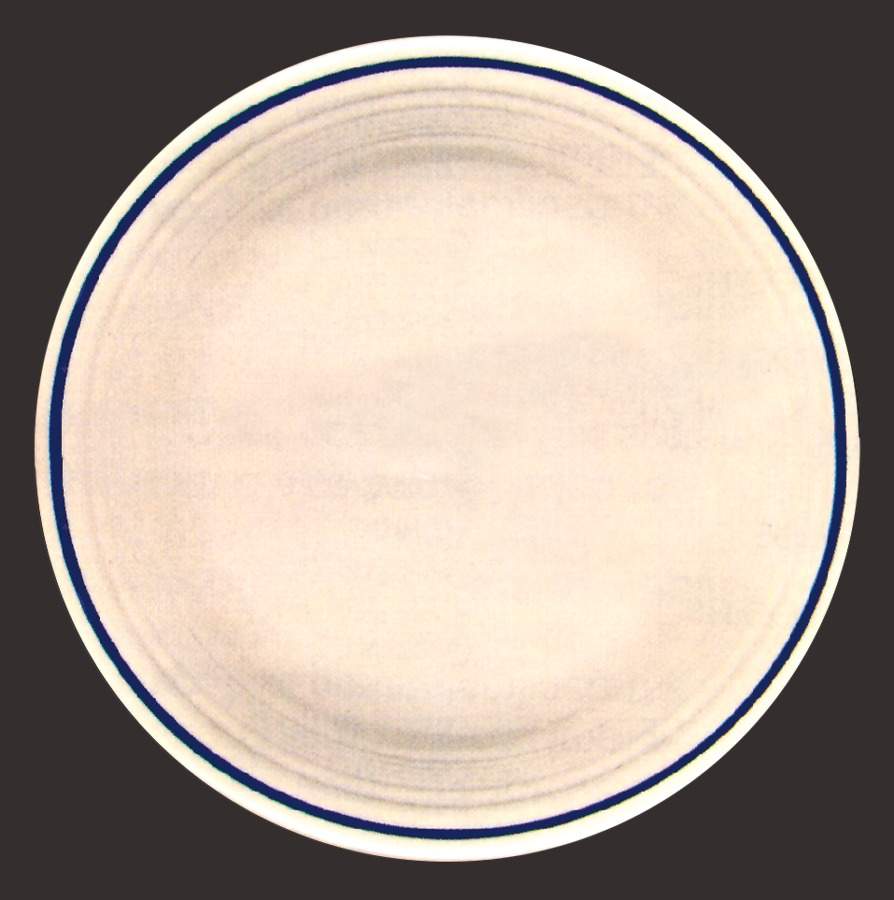 Aegean Dinner Plate by Homer Laughlin -1