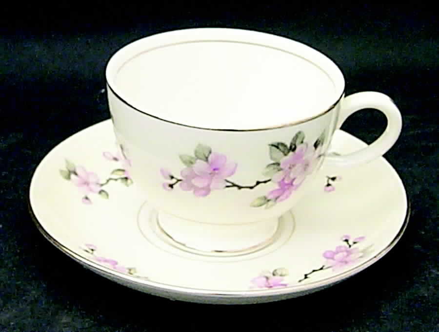 Apple Blossom Footed Cup & Saucer Set by Homer Laughlin -1