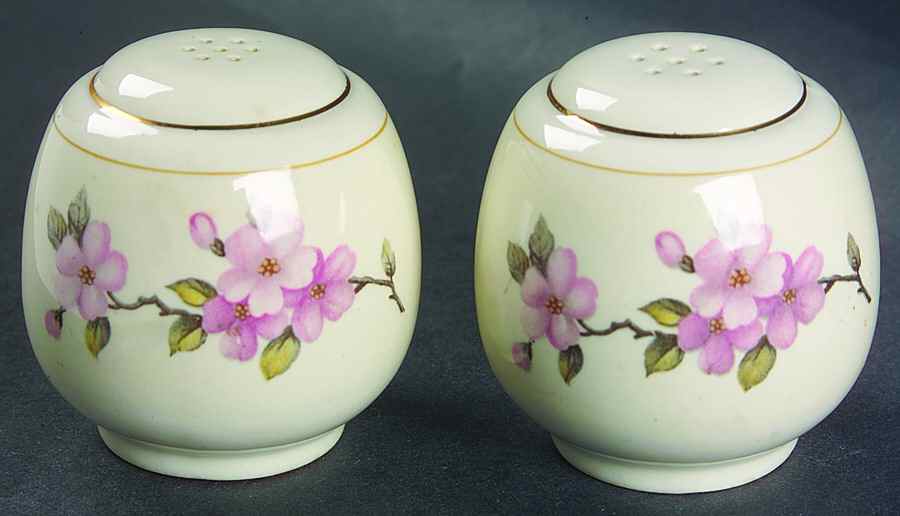 Apple Blossom Salt & Pepper Set by Homer Laughlin -1