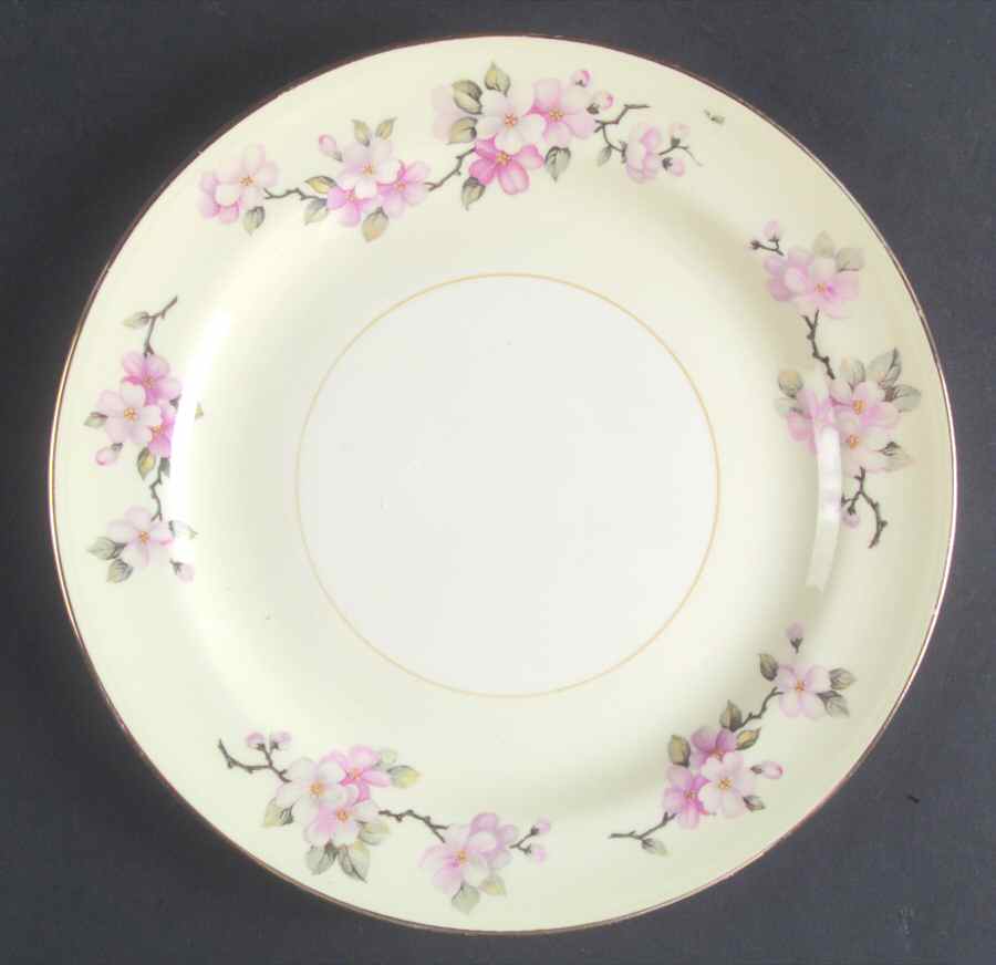Apple Blossom Salad Plate by Homer Laughlin -1