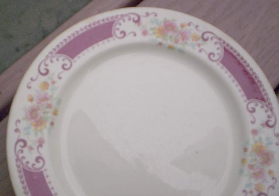 B1315 (Gold Trim) Salad Plate by Homer Laughlin -1