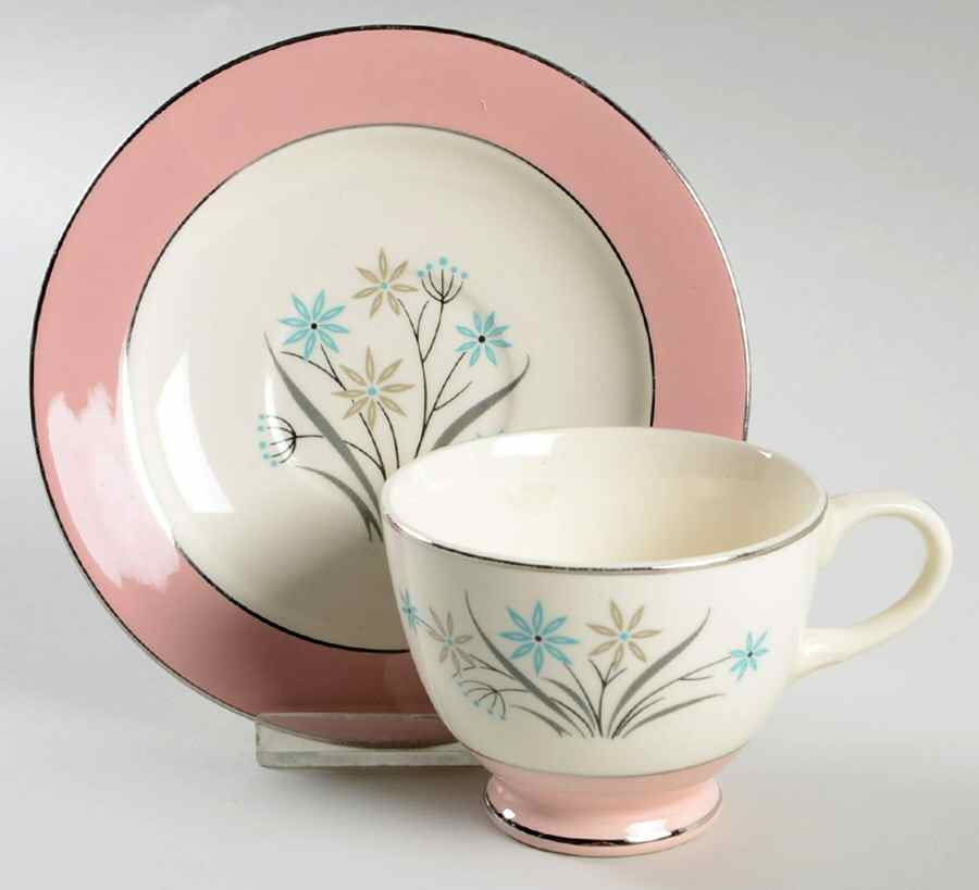 B1415 (Platinum Trim) Footed Cup & Saucer Set by Homer Laughlin -1