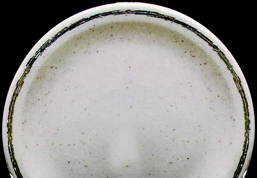 Bark Dinner Plate by Homer Laughlin -1