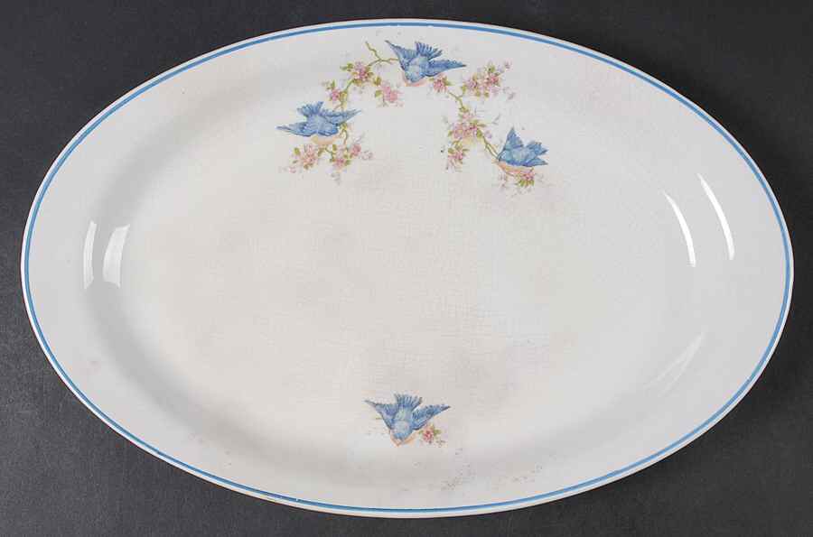 Bluebird (Blue Trim) 13" Oval Serving Platter by Homer Laughlin -1