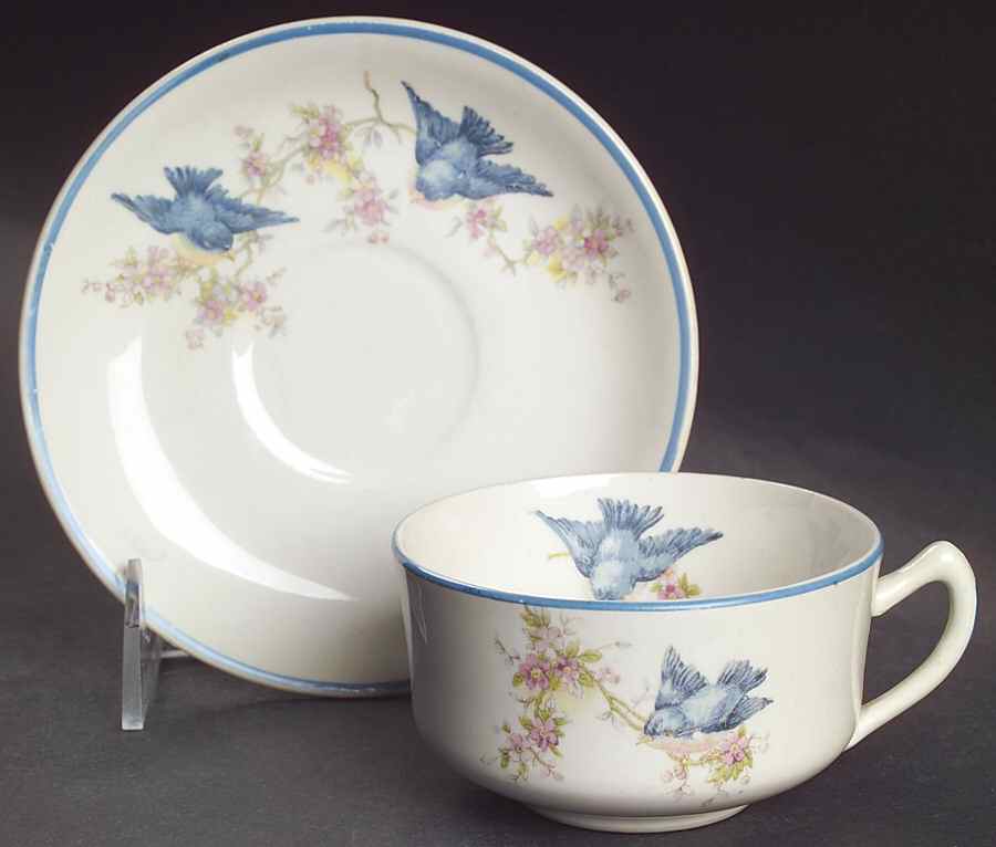 Bluebird (Blue Trim) Flat Cup & Saucer Set by Homer Laughlin -1