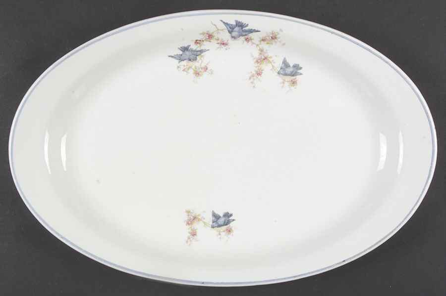 Bluebird (Blue Trim) 15" Oval Serving Platter by Homer Laughlin -1