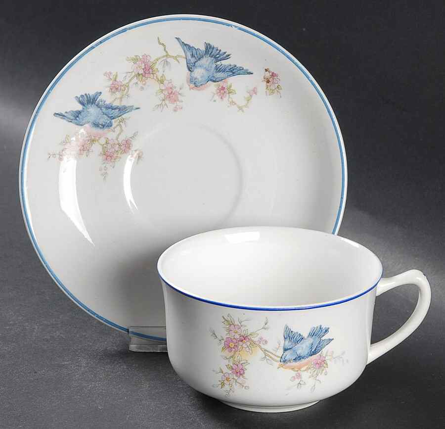 Bluebird (Blue Trim) Flat Cup & Saucer Set by Homer Laughlin -1