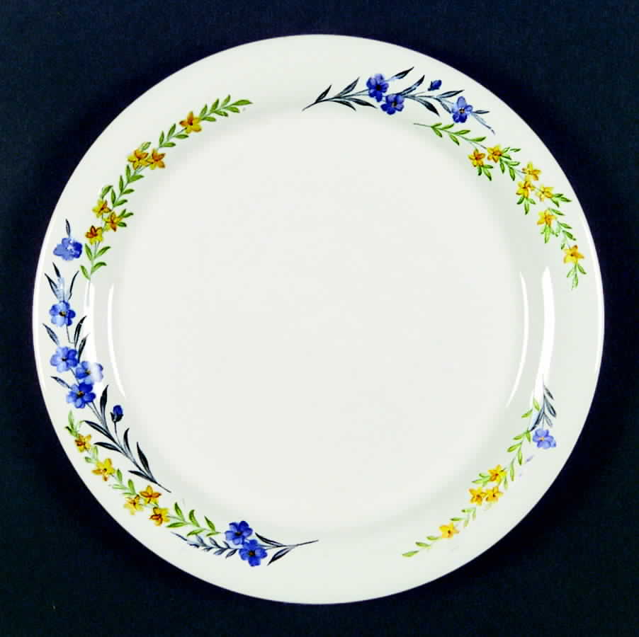 Blue Flax Dinner Plate by Homer Laughlin -1