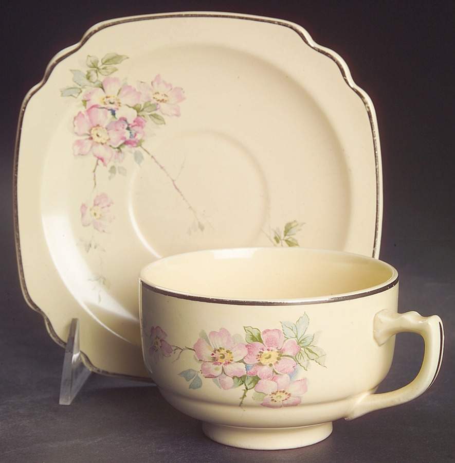 Briar Rose Footed Cup & Saucer Set by Homer Laughlin -1