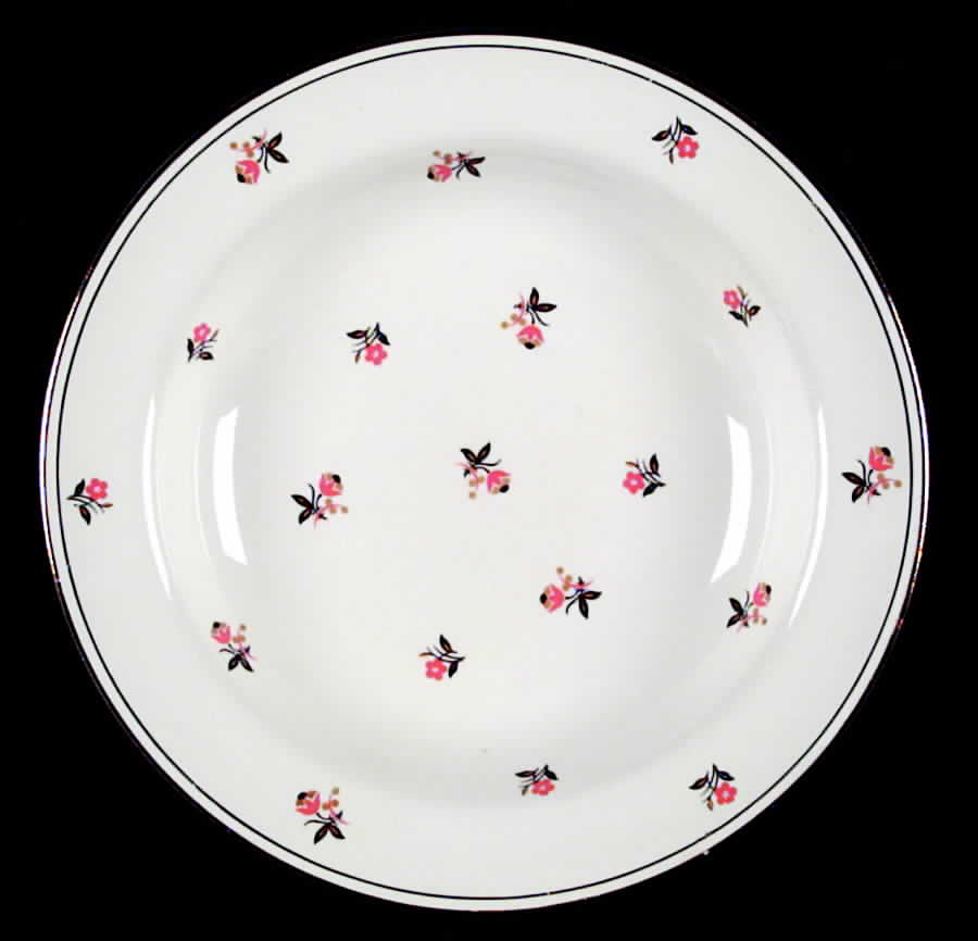 Cardinal (Red Floral, Nautilus) Rim Soup Bowl by Homer Laughlin -1