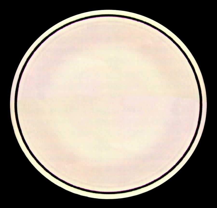 Cranberry Dinner Plate by Homer Laughlin -1