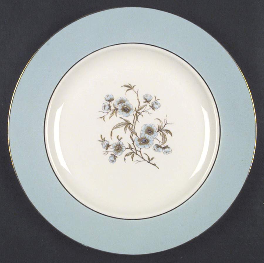 CV69 Dinner Plate by Homer Laughlin -1