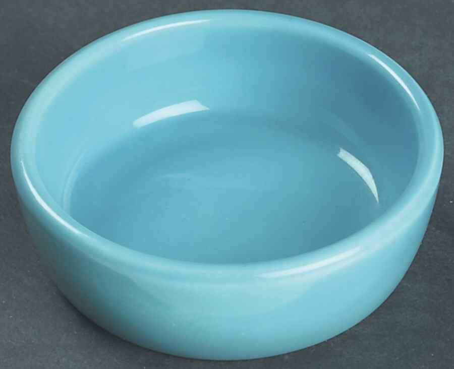Fiesta Turquoise (Older) Center Dish for 6-Piece Relish Set by Homer Laughlin -1