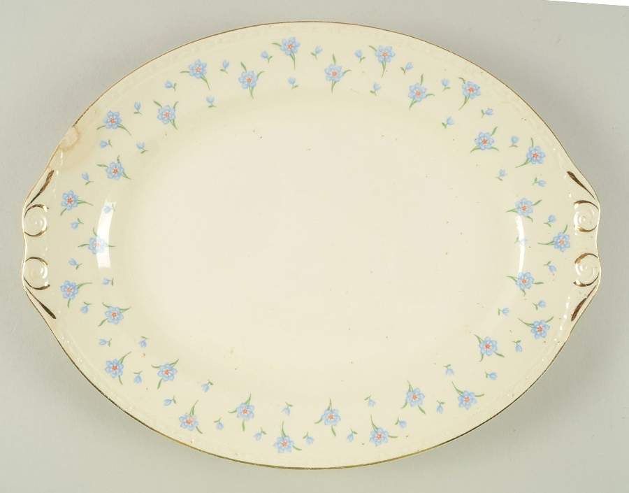 Forget-Me-Not (Gold Trim) 11" Oval Serving Platter by Homer Laughlin -1