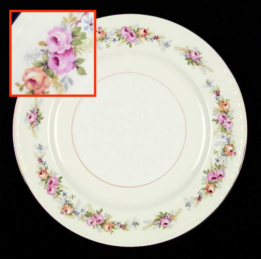G3523 Dinner Plate by Homer Laughlin -1