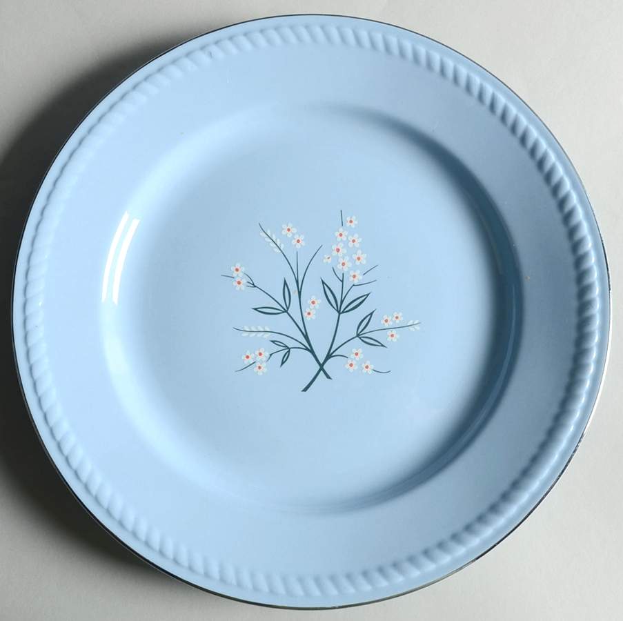 GCM101 Dinner Plate by Homer Laughlin -1