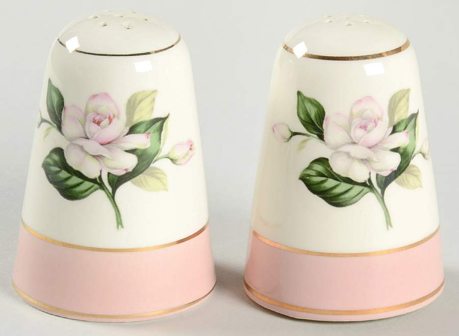 Glenwood Salt & Pepper Set by Homer Laughlin -1