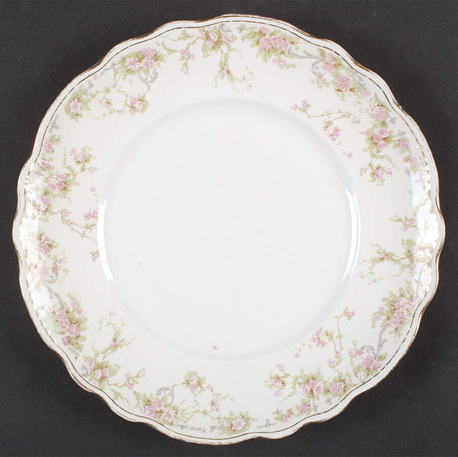 H135 Dinner Plate by Homer Laughlin -1