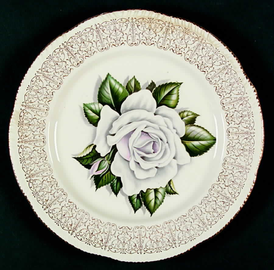 HLC114 Dinner Plate by Homer Laughlin -1